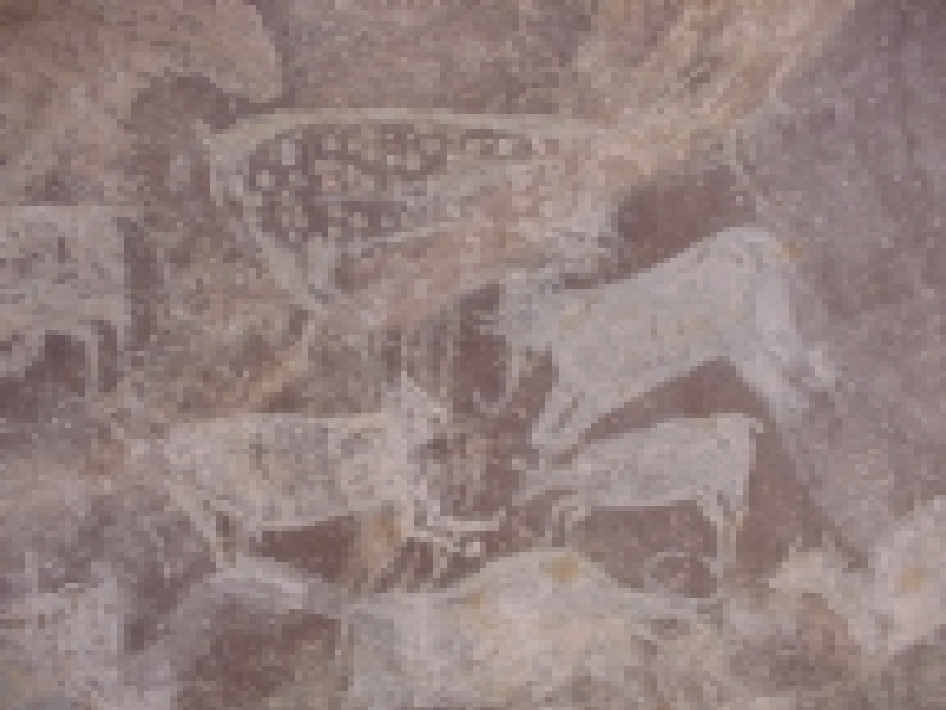 Chalcolithic: Bhimbetka, Cluster III C 5