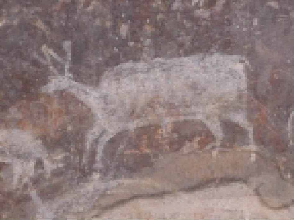 Chalcolithic: Bhimbetka, Cluster III C 6