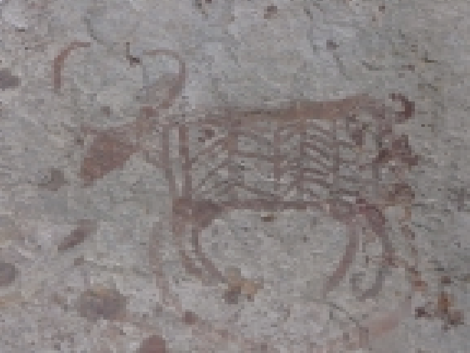 Chalcolithic: Bhonrawali, Cluster II E