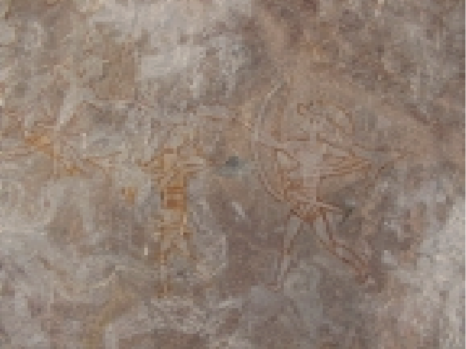 Historical: Bhonrawali, Cluster II E 2