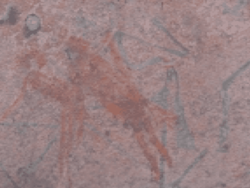 Mesolithic: Bhonrawali, Cluster II F